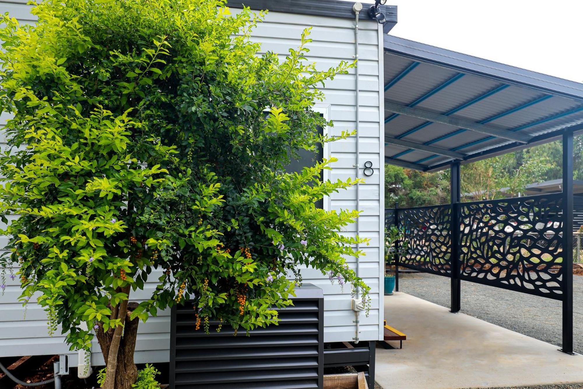 Kingaroy Holiday Park Exteriér fotografie